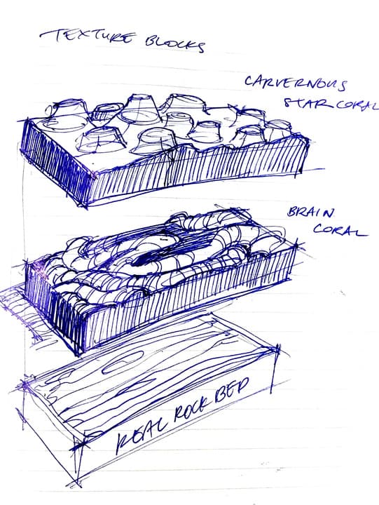 Pen sketch of texture blocks modeled on cavernous star coral and brain coral