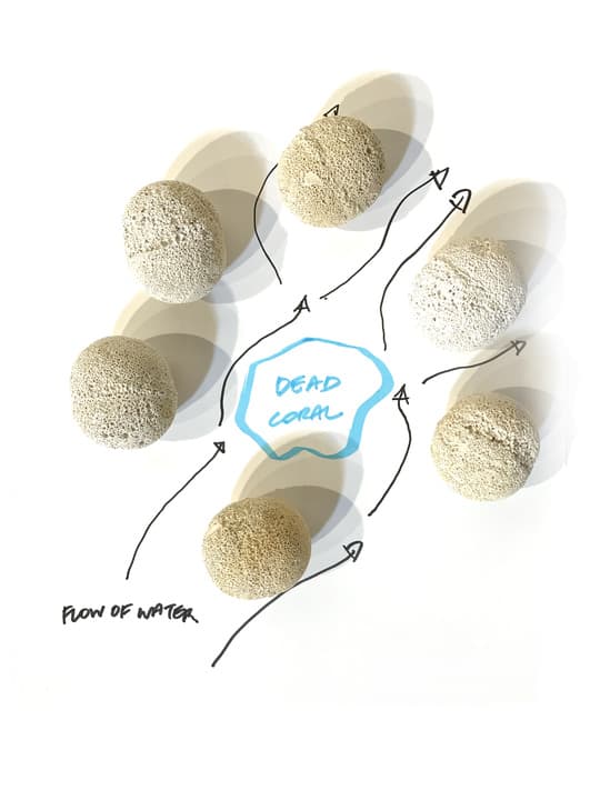 Porous stone spheres arranged around dead coral, with arrows showing the flow of water