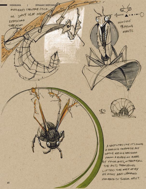 A page from Lori's field sketchbook studying insects from observation