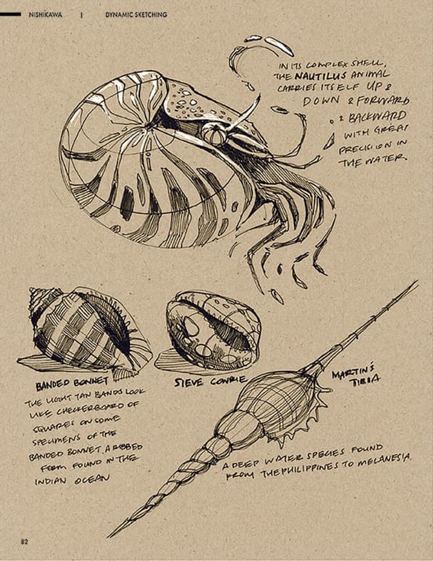 Field sketchbook page with observational studies of animals