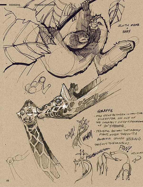 Field sketchbook page exploring how an animal moves