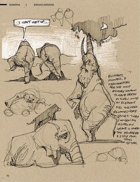 Observational animal sketch from the field sketchbook