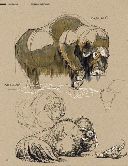 Animal study drawn from observation in the field sketchbook