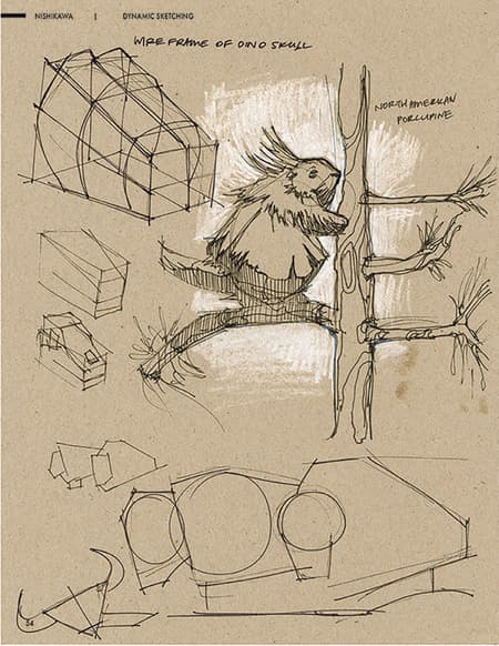 Final page of animal studies from the field sketchbook
