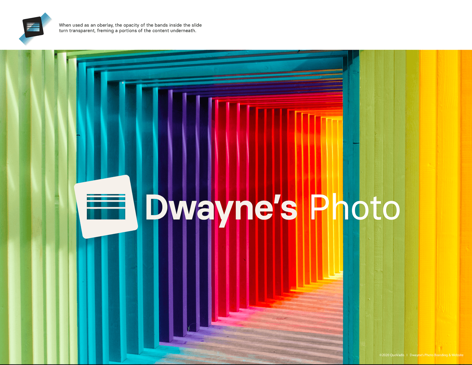Final Dwayne's Photo brand applied across the website and packaging