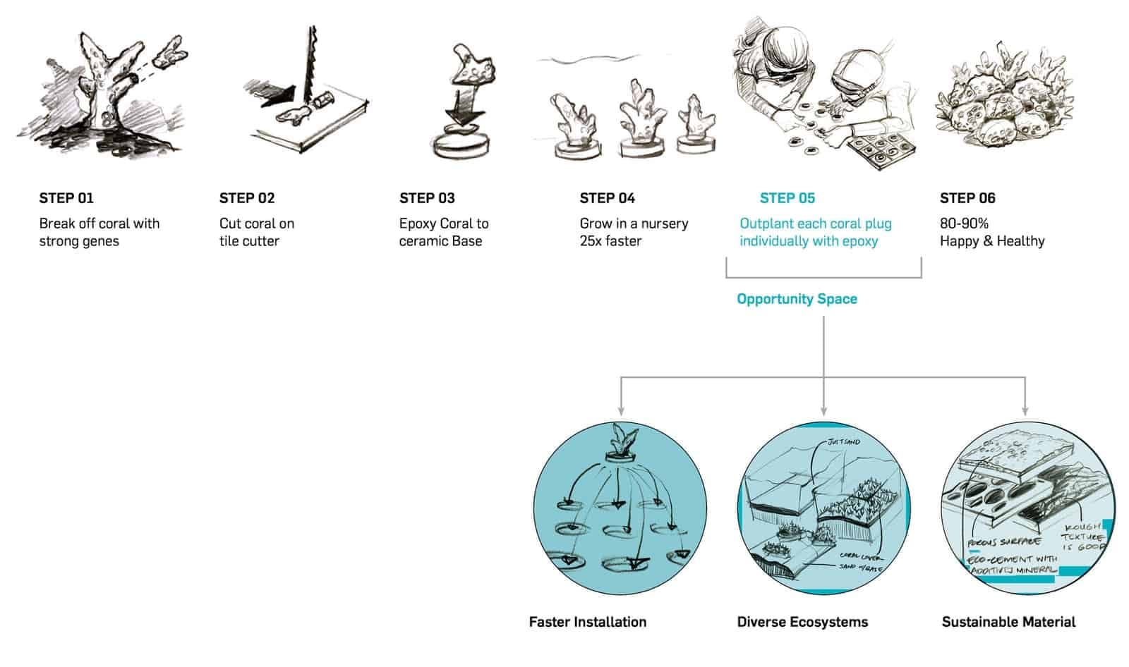 Six illustrated steps of micro-fragmentation, from breaking off coral with strong genes to outplanting, with outplanting marked as the opportunity space for faster installation, diverse ecosystems and sustainable material