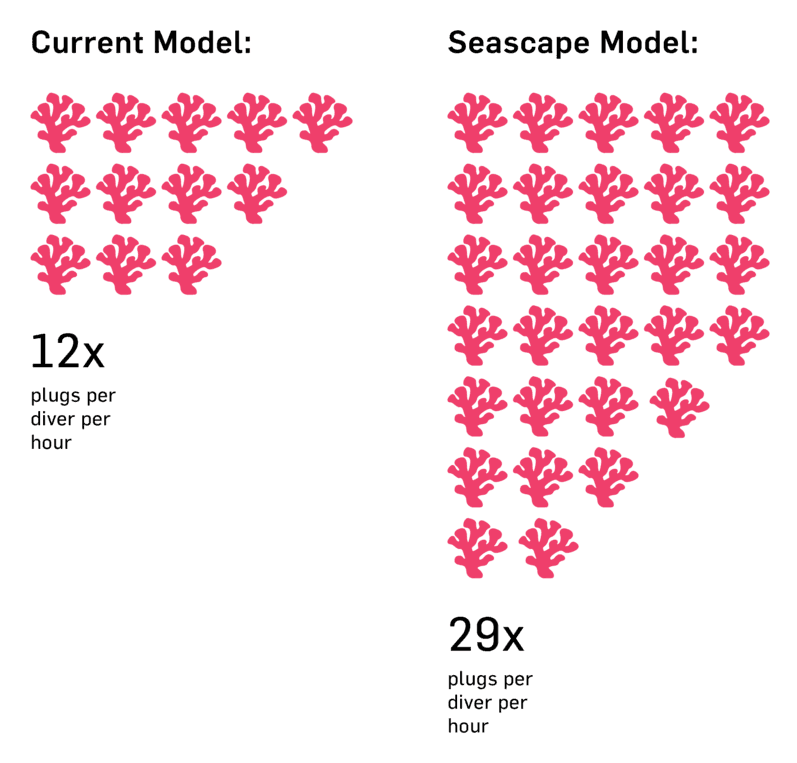 Comparison of 12 coral plugs per diver per hour in the current model against 29 in the Seascape model